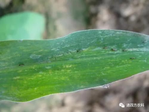 ���הQ����ô�k����ץ�o��Q��Ӱ푮a(ch��n)��!!!