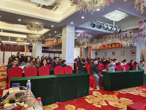 ������ӆ؛����Ƭ