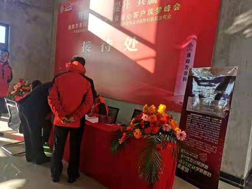 ����_������|����ʡ����