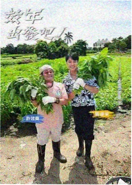 对话
